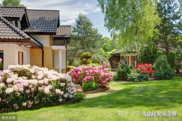 上海花園別墅 200坪院子 打造網(wǎng)紅庭院 告別喧囂